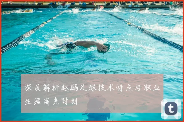 深度解析赵鹏足球技术特点与职业生涯高光时刻