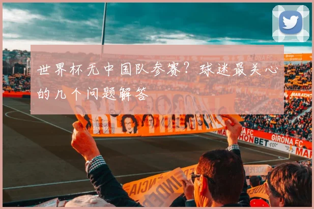 世界杯无中国队参赛？球迷最关心的几个问题解答