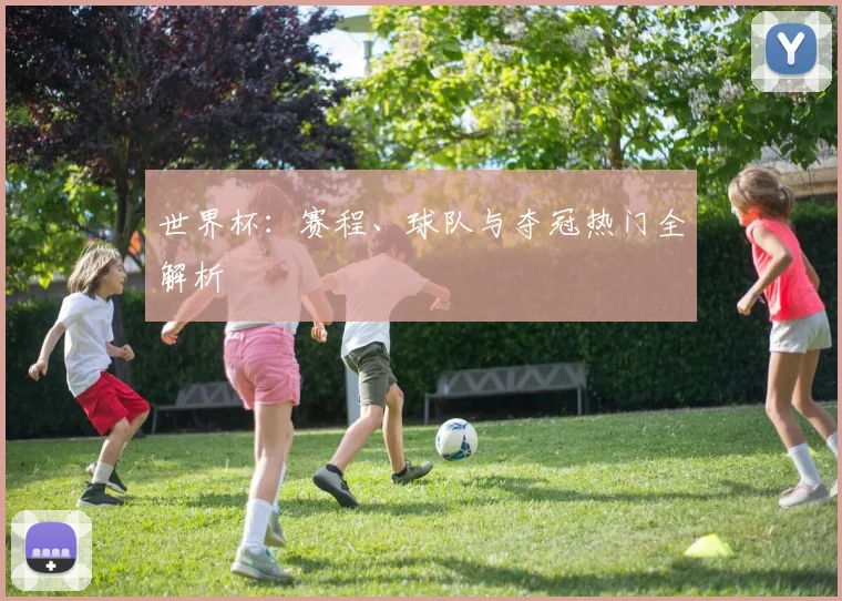 世界杯：赛程、球队与夺冠热门全解析
