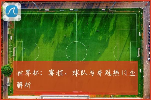 世界杯：赛程、球队与夺冠热门全解析