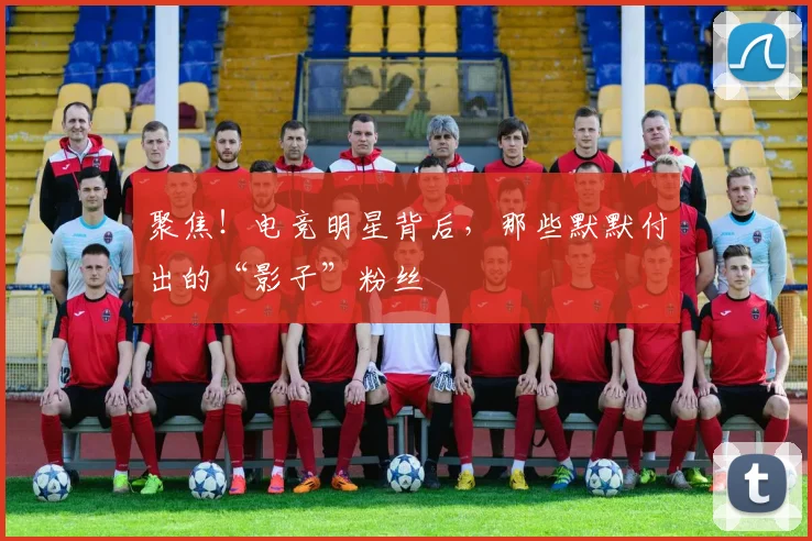 聚焦！电竞明星背后，那些默默付出的“影子”粉丝