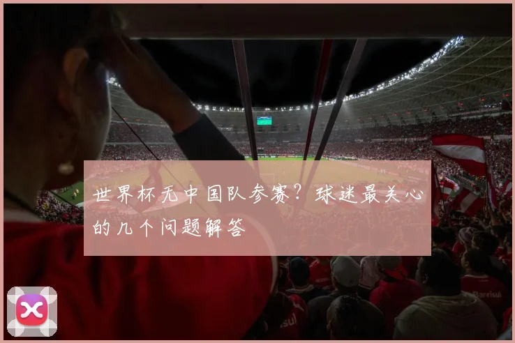 世界杯无中国队参赛？球迷最关心的几个问题解答